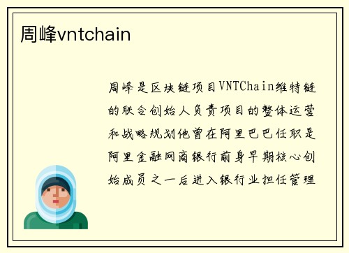 周峰vntchain